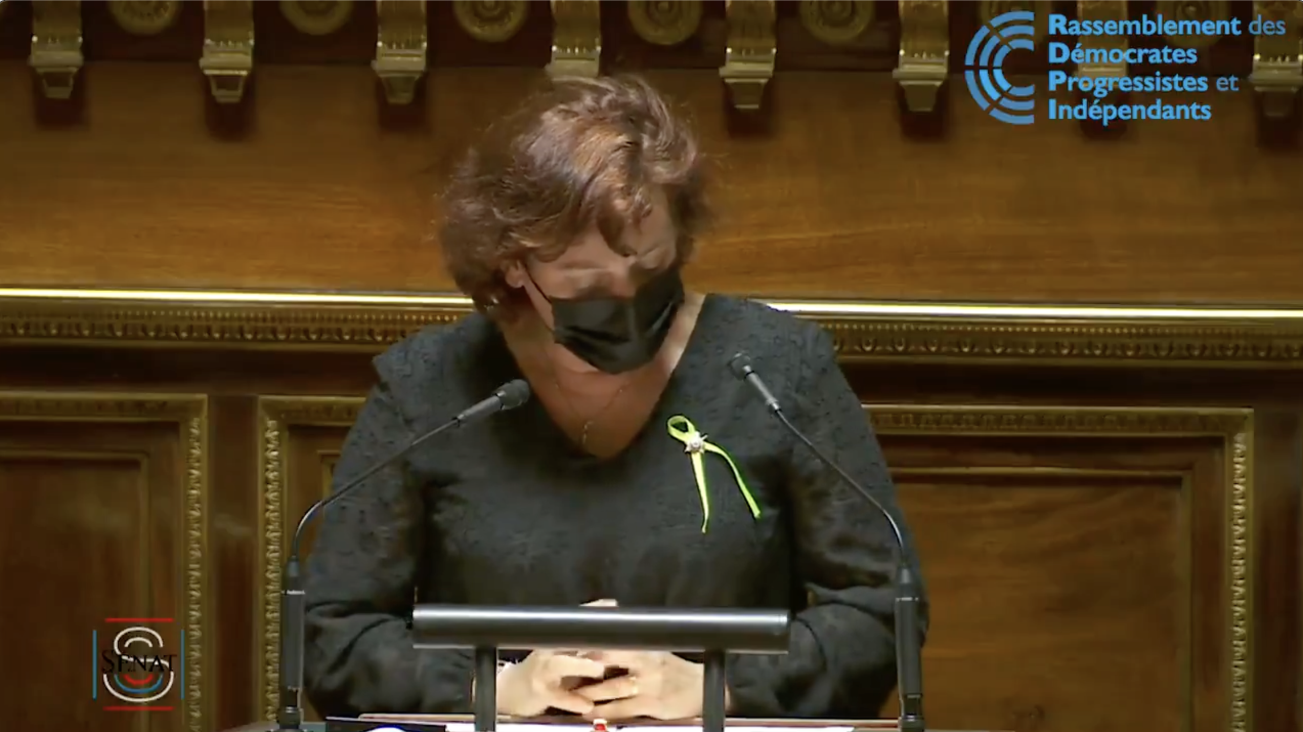 Le groupe RDPI vote en faveur de la protection du patrimoine sensoriel des campagnes