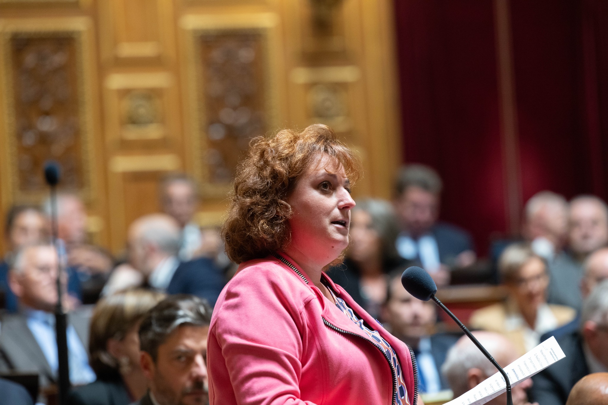Le groupe RDPI vote en faveur de la proposition de loi portant réparation des personnes condamnées pour homosexualité entre 1942 et 1982