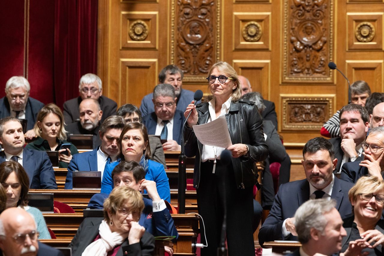 Le groupe RDPI vote pour le texte visant à mieux protéger les enfants victimes de violences intrafamiliales